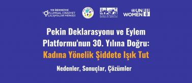 "Pekin Deklarasyonu ve Eylem Platformu'nun 30. Yılına Doğru: Kadına Yönelik Şiddete Işık Tut - Nedenler, Sonuçlar, Çözümler"